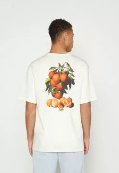 Redefined Rebel Rrgiovanni TeeT-Shirt Con StampaPristine Uomo T-shirt E Polo R0622O05S-A12 -Redefined Rebel Negozio 36353800d8d944f285c94bc1ae45f870